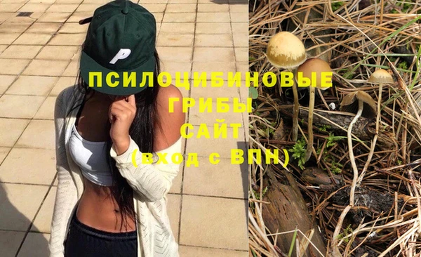 соль ск Абинск