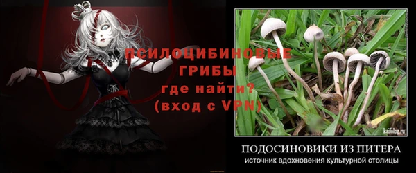 соль ск Абинск