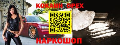 дживик Можга