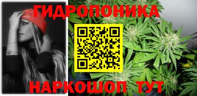 дживик Можга
