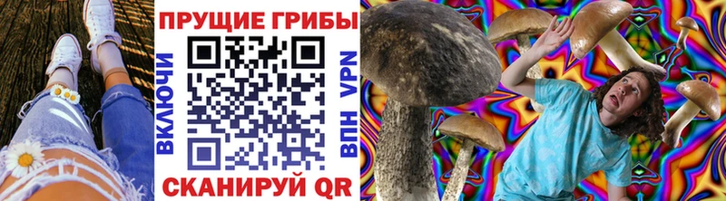 Псилоцибиновые грибы Psilocybine cubensis  Рязань 