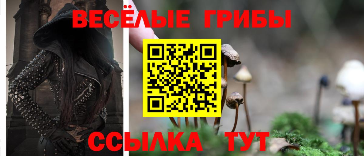 Рязань  Галлюциногенные грибы Psilocybe  купить закладку  Галлюциногенные грибы мицелий  Вход с VPN 