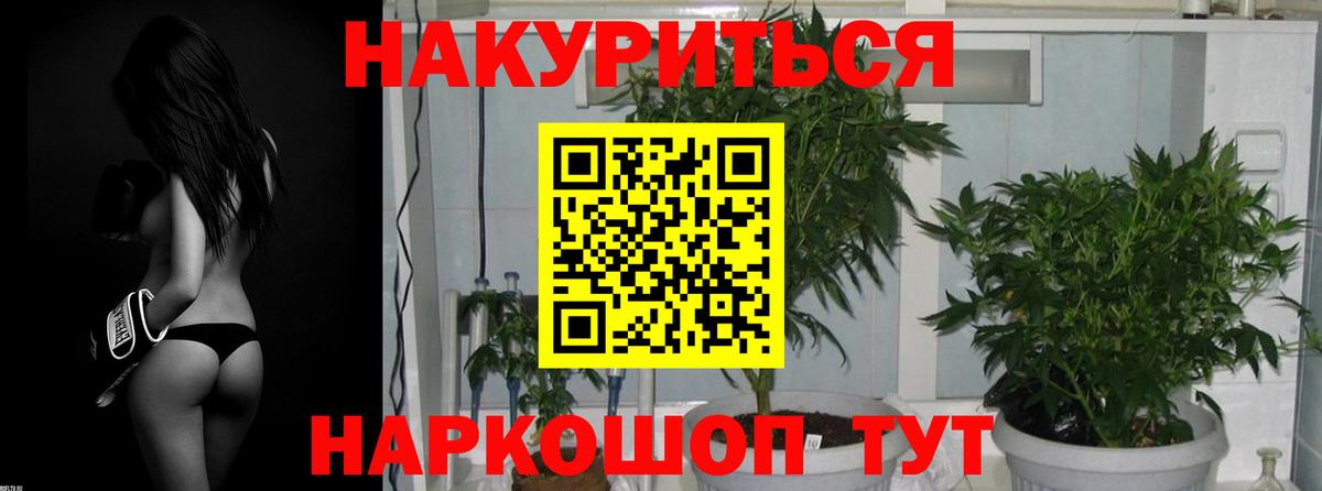 Бошки Шишки LSD WEED  Марихуана MAZAR  Рязань  Вход с VPN  Канабис планчик 